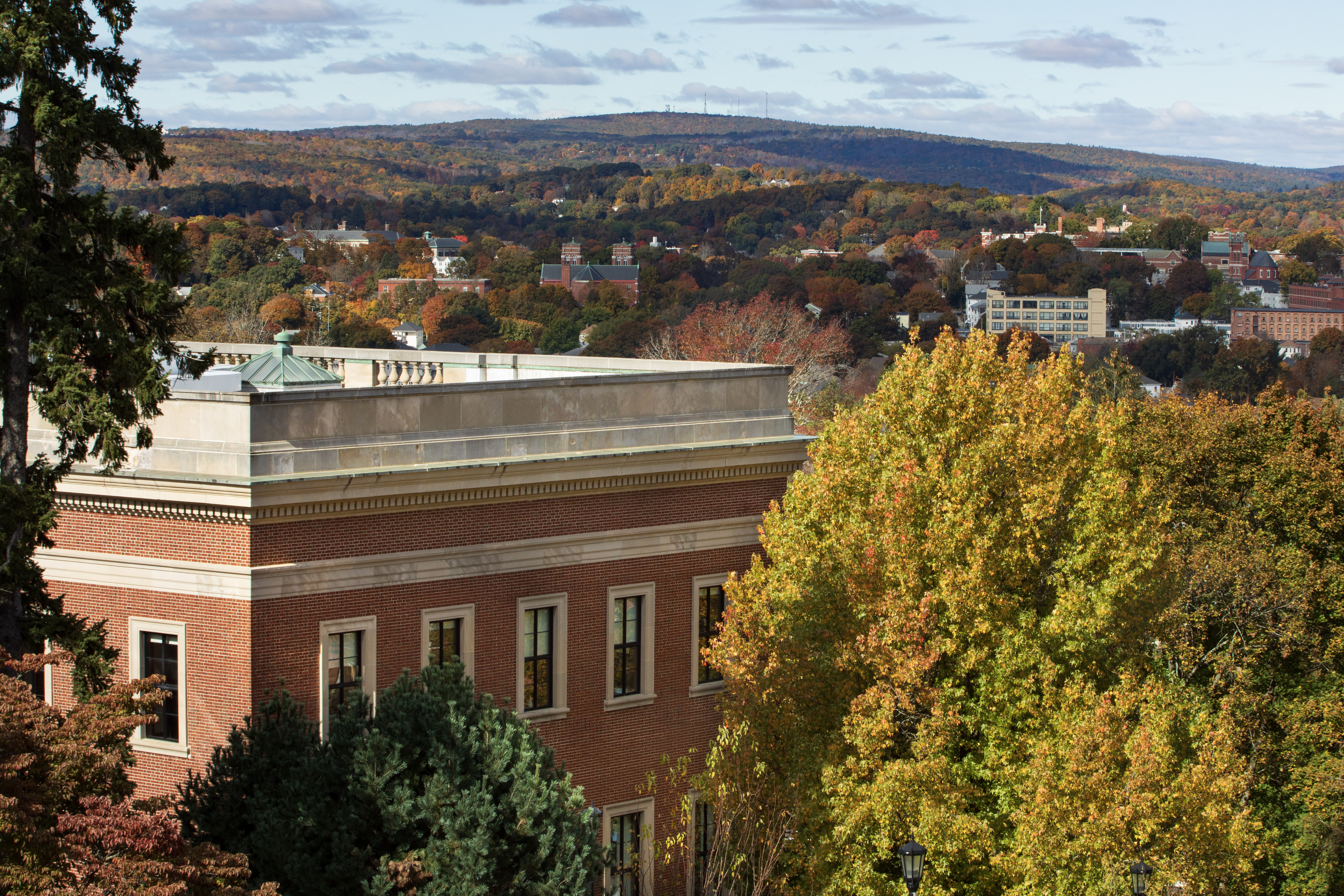 Tree with green and yellow leaves in foreground, a brick building behind it. Background of trees