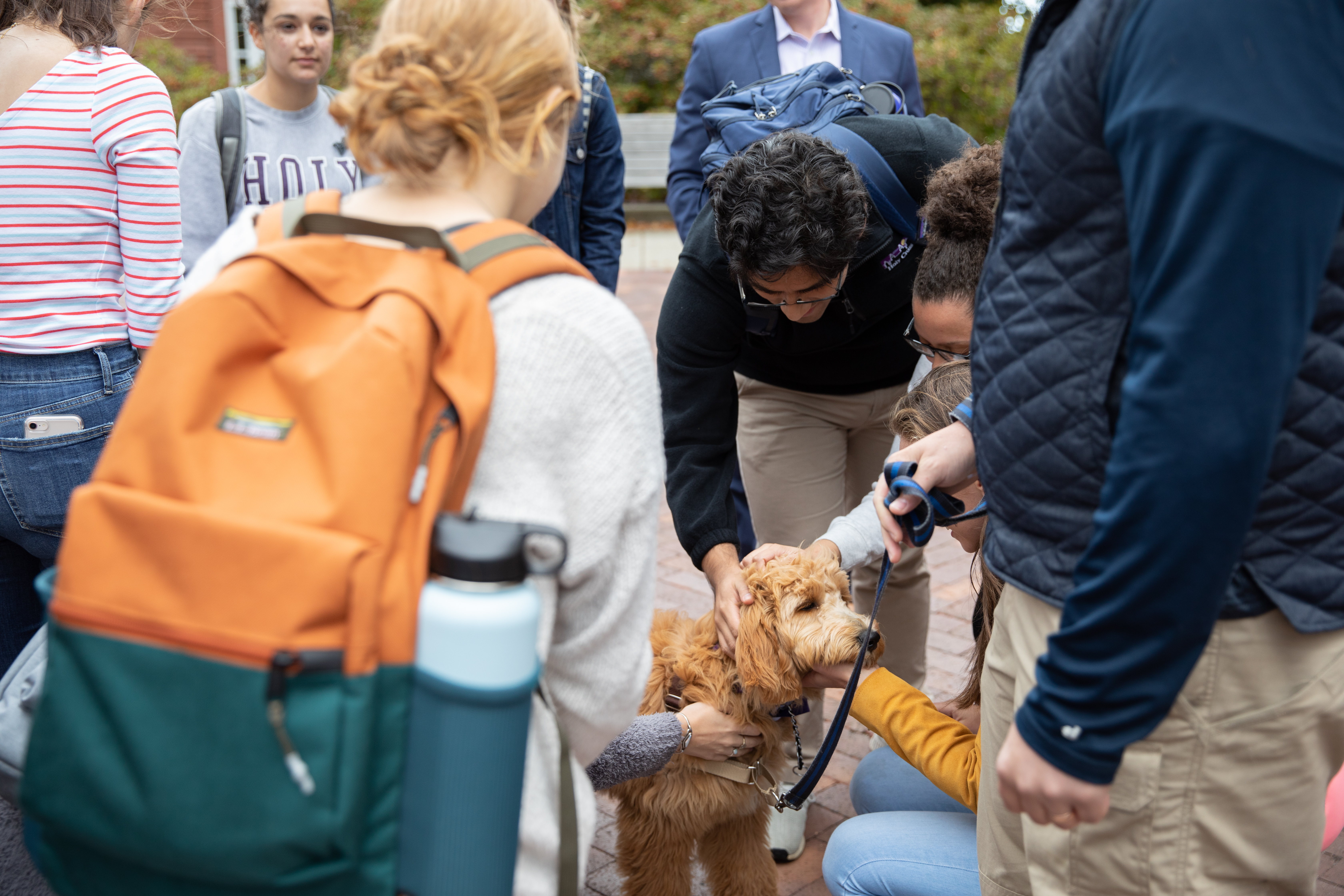 A golden doodle therapy dogs sits in the middle of a circle of students get pets.