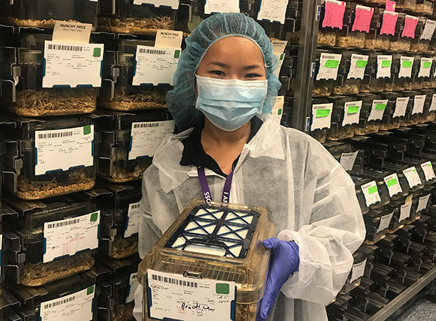 Thavanvotey Luong '19, an English major, interns at UMass Medical School in Worcester, Mass