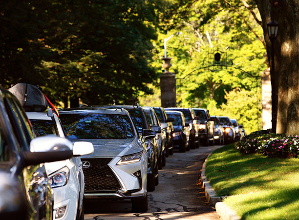 cars lined up on linden lane