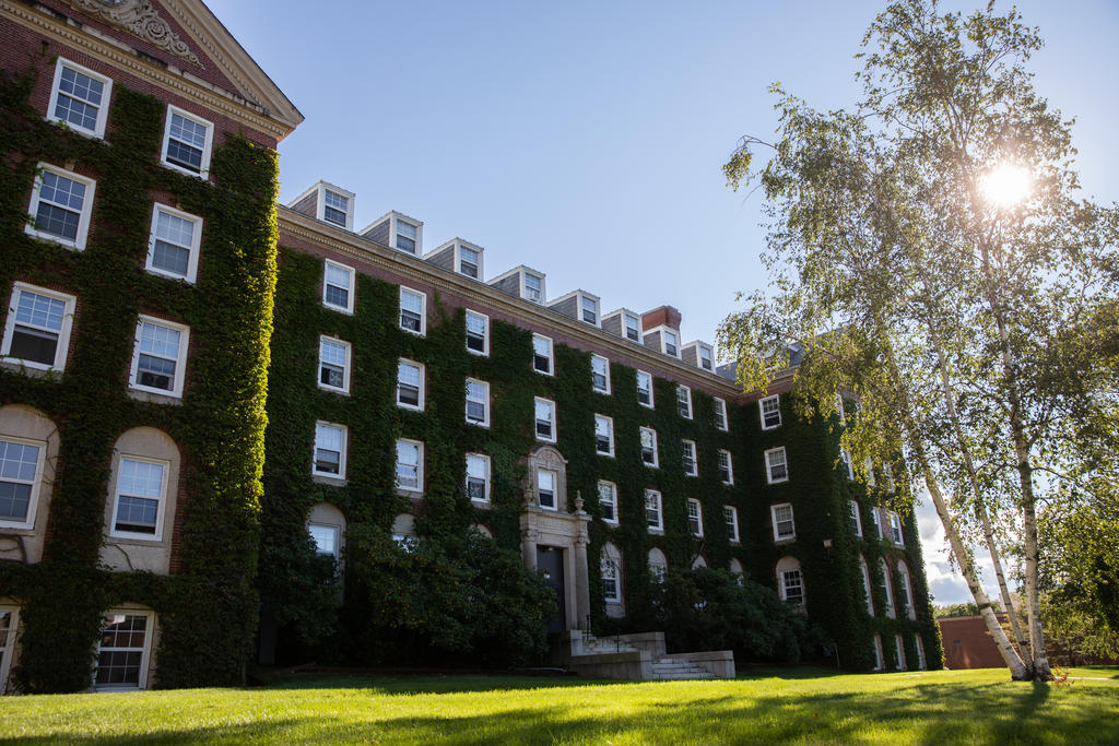 Brick building covered in ivy with the sun rising over a tree to the right