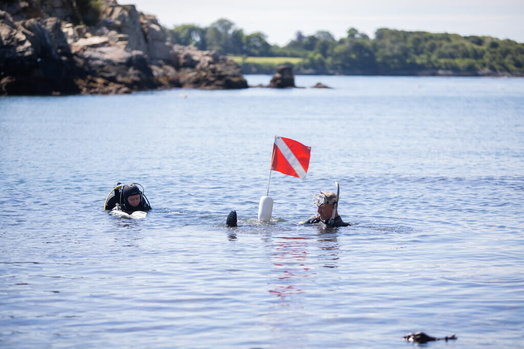 Two scuba divers in the water