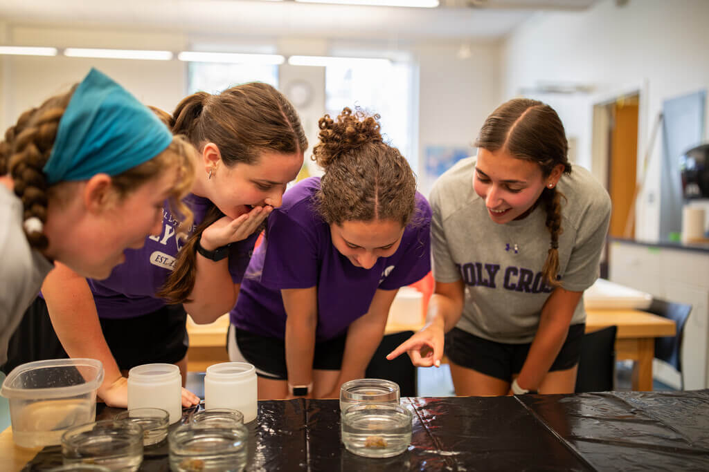 Four people looking at a coral sample