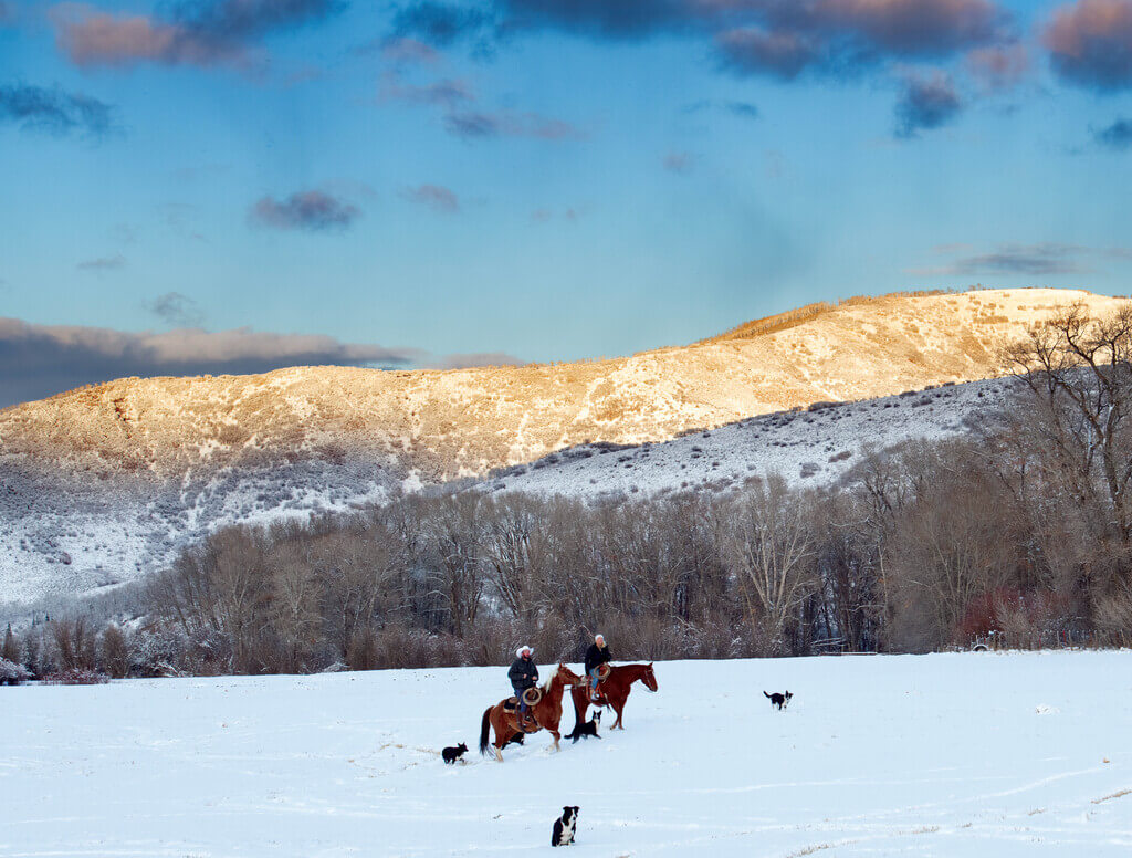 Two riders on horses in the snow