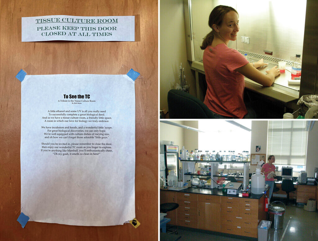 Scenes from Luoma working in Bellin's lab in 2007