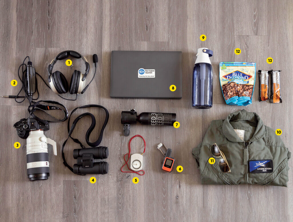 The contents of Katherine McKenna's bag