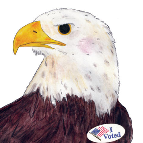 A bald eagle with an “I Voted” sticker. Illustration by Stephen Albano