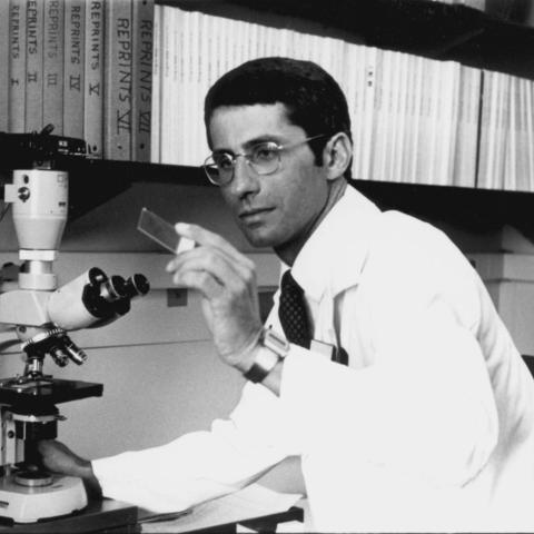Archival photo of Anthony Fauci with lab equipment.