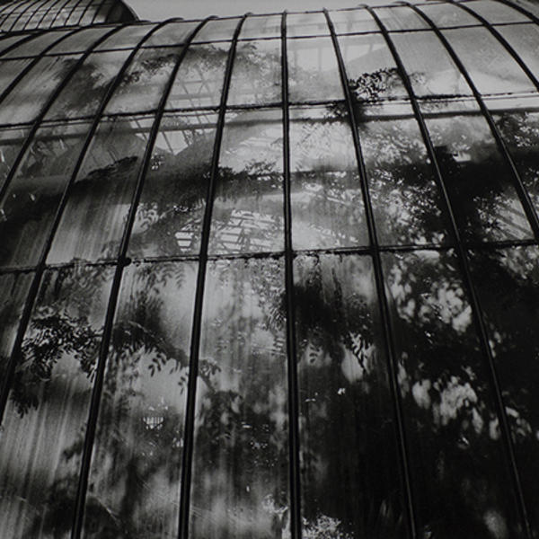 Royal Botanic Gardens, Kew Palm House, England