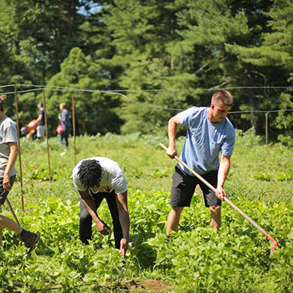 Food history summer class taught by visiting lecturer Christopher Staysniak visits Cotyledon Farm in Leicester, MA. Photo by Tom Rettig
