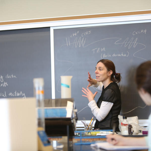 Ann Sheehy, virologist and professor of biology. Photo by Tom Rettig