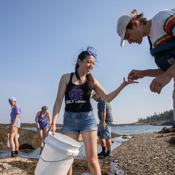 Students in a biology class study marine life at a beach,