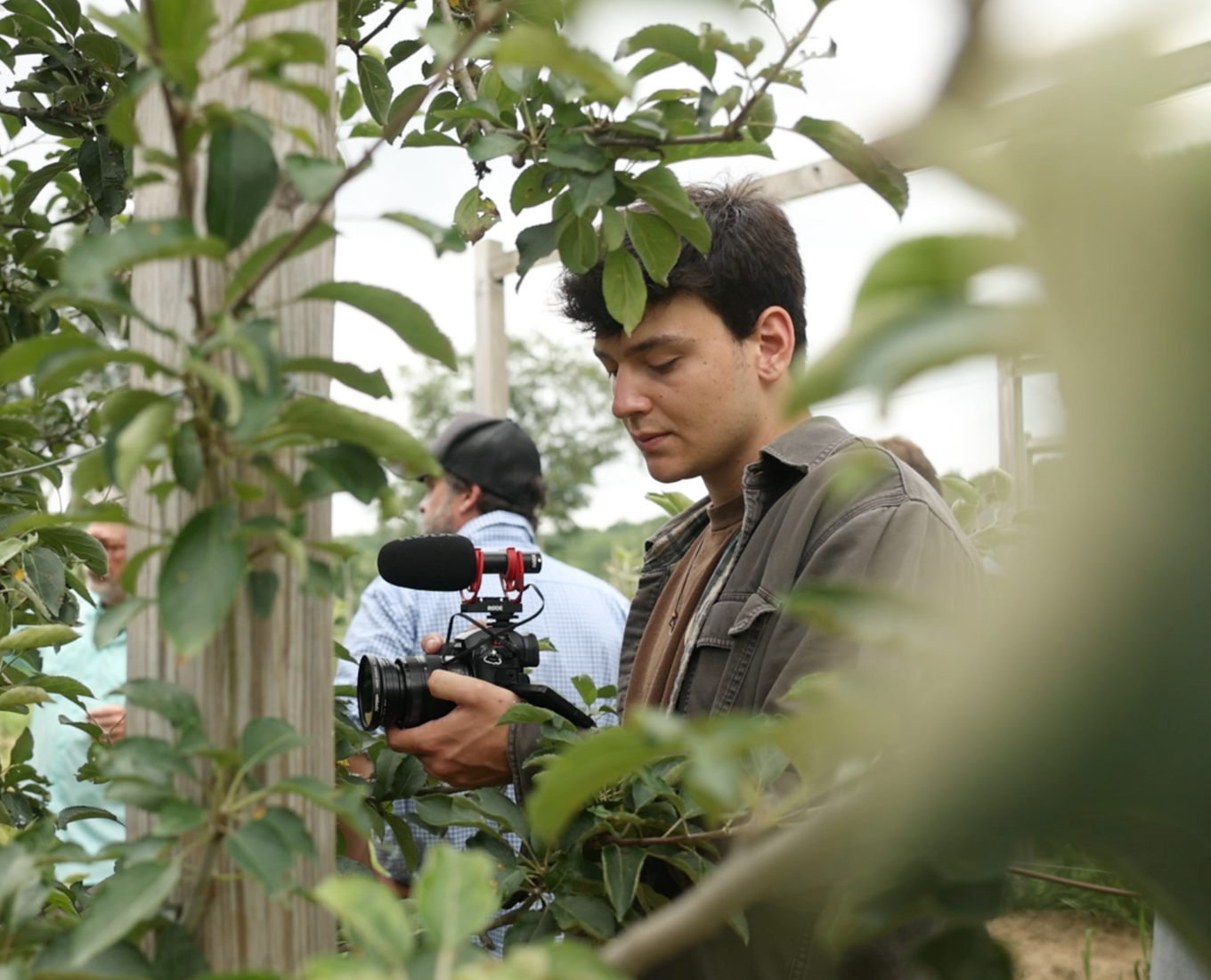 A male student films in an apple orchard.
