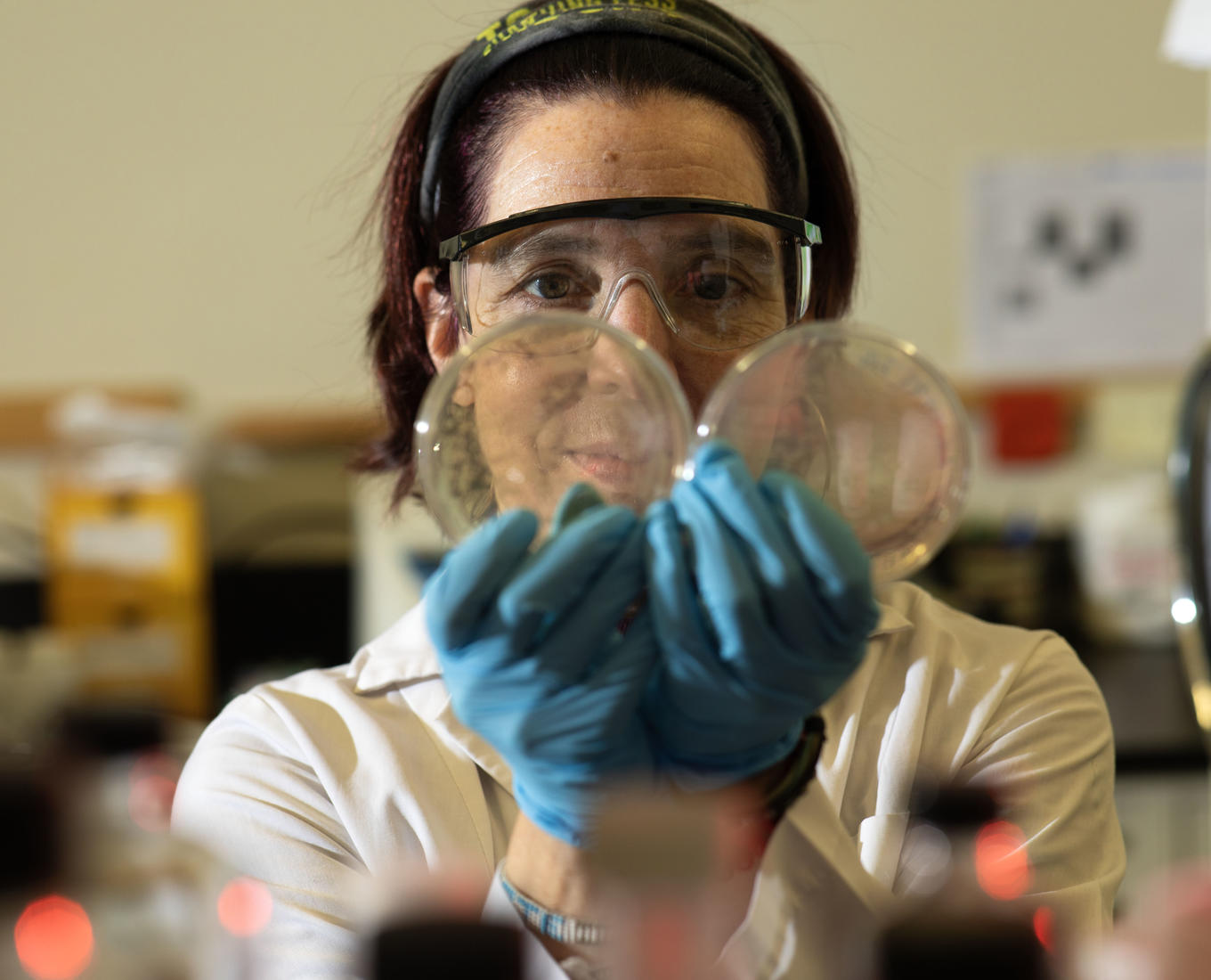 Female scientist holding up to petri dishes.