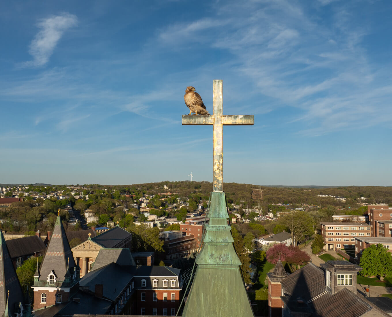 Hawk sitting on a cross
