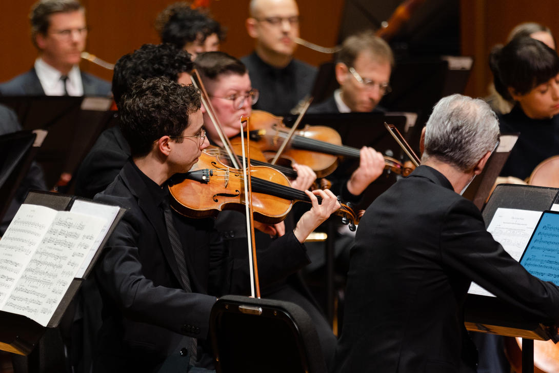 The string section of an orchestra.